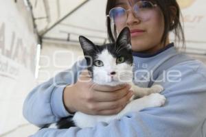 TLAXCALA . JORNADA DE ESTERILIZACIÓN