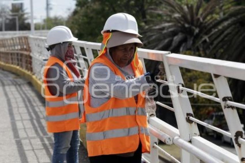 GOBIERNO ESTATAL . REHABILITACIÓN CICLOPISTA