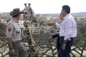 AFRICAM SAFARI . BENITO