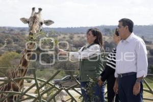 AFRICAM SAFARI . BENITO