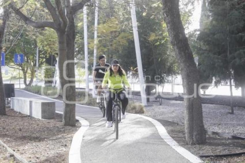 REHABILITACIÓN . CICLOPISTA VÍA ATLIXCAYOTL