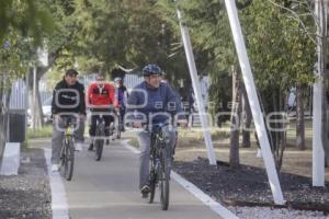 REHABILITACIÓN . CICLOPISTA VÍA ATLIXCAYOTL