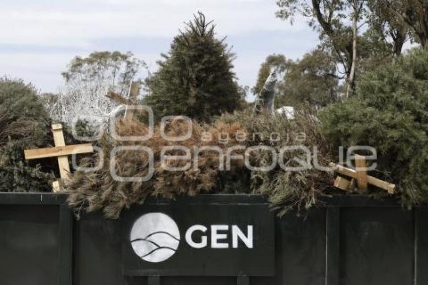 RECICLAJE . ÁRBOLES DE NAVIDAD