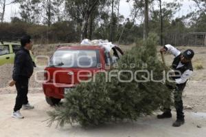 RECICLAJE . ÁRBOLES DE NAVIDAD