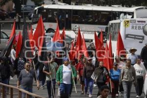 MANIFESTACIÓN . UPVA 28 DE OCTUBRE