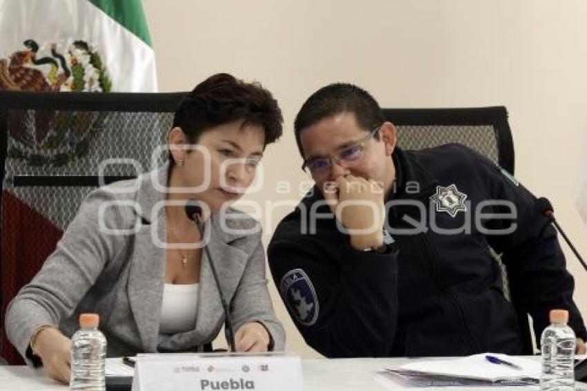 SECRETARÍA DE SEGURIDAD PÚBLICA