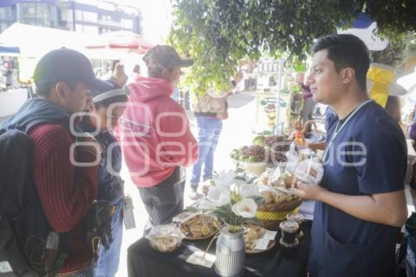 MERCADITO SOLIDARIO