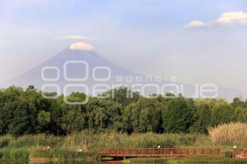 VOLCÁN POPOCATÉPETL