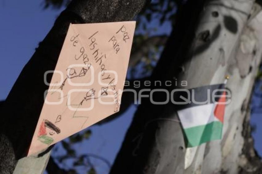 PALESTINA . PAPALOTES