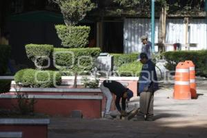 TLAXCALA . SECRETARÍA CULTURA