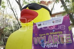 FESTIVAL VOLARTE 2024