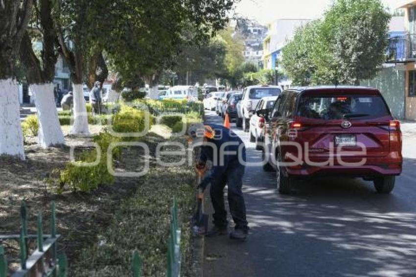 TLAXCALA . MANTENIMIENTO JARDINERAS