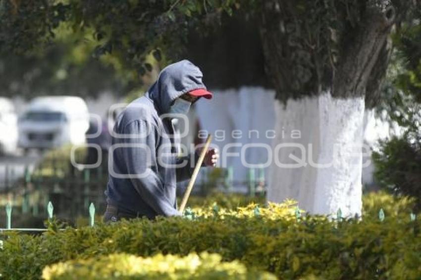 TLAXCALA . MANTENIMIENTO JARDINERAS