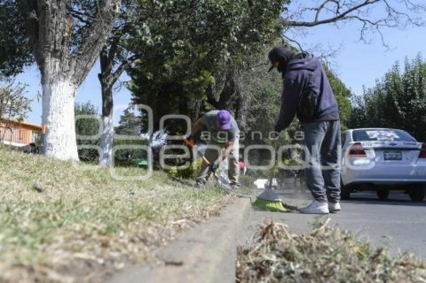 TLAXCALA . MANTENIMIENTO JARDINERAS