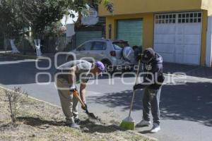 TLAXCALA . MANTENIMIENTO JARDINERAS