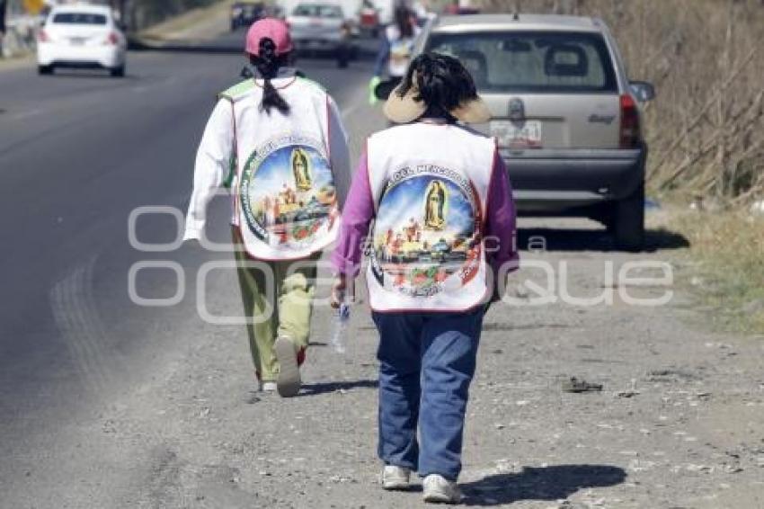 AUTOPISTA . PEREGRINOS