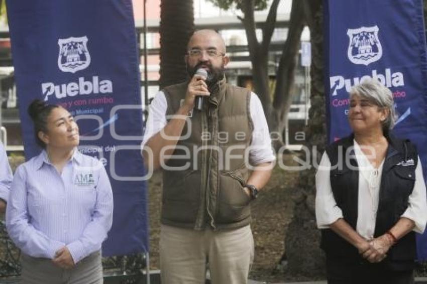 CAMPEONATO DE TREPA ÁRBOLES