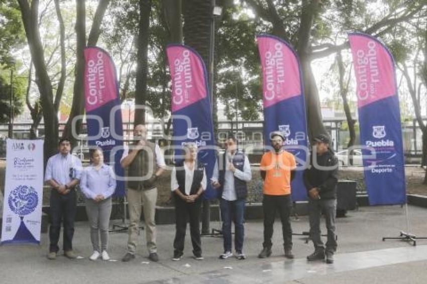 CAMPEONATO DE TREPA ÁRBOLES