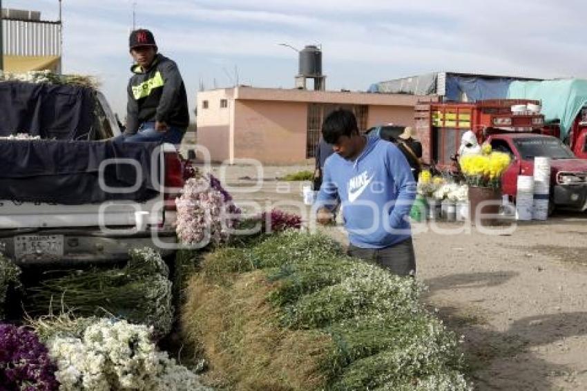 MERCADO DE FLORES