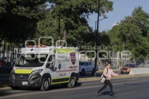 NOTA ROJA . ATROPELLADOS