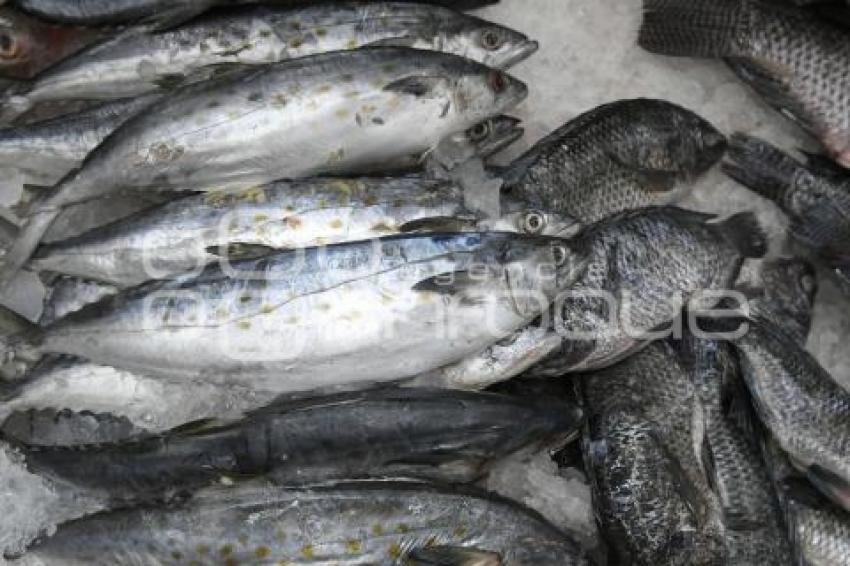 TLAXCALA . PESCADERÍAS