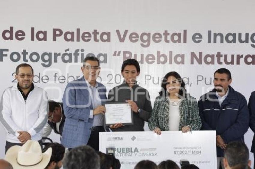 GOBIERNO ESTATAL . PALETA VEGETAL