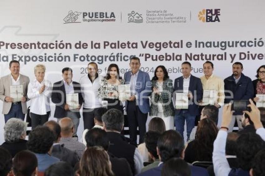 GOBIERNO ESTATAL . PALETA VEGETAL