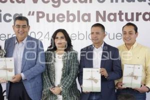 GOBIERNO ESTATAL . PALETA VEGETAL