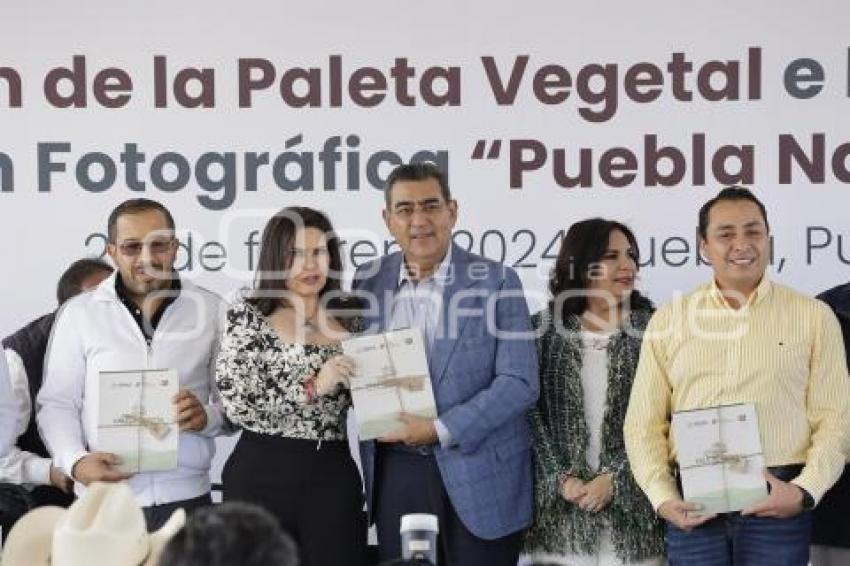 GOBIERNO ESTATAL . PALETA VEGETAL