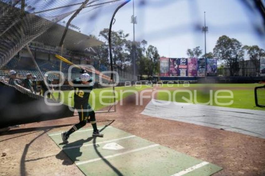 PERICOS DE PUEBLA . ENTRENAMIENTO