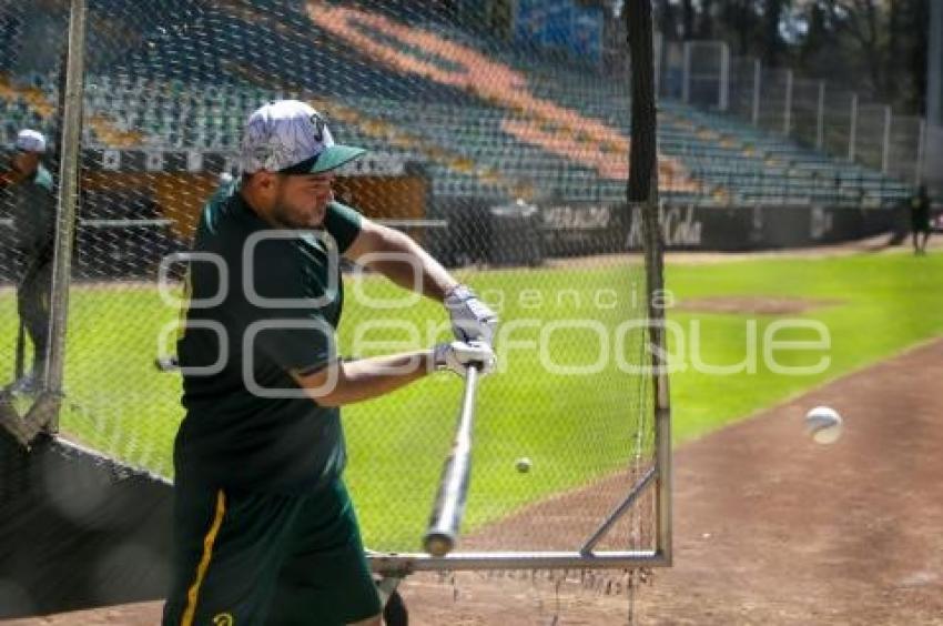 PERICOS DE PUEBLA . ENTRENAMIENTO