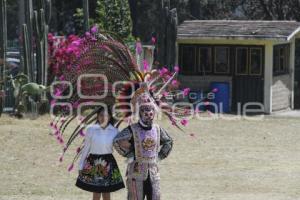 TLAXCALA . CARNAVAL