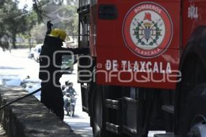 TLAXCALA . INCENDIO ÁRBOL