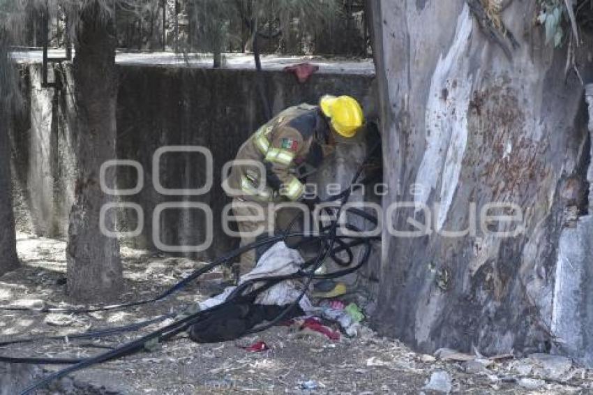 TLAXCALA . INCENDIO ÁRBOL