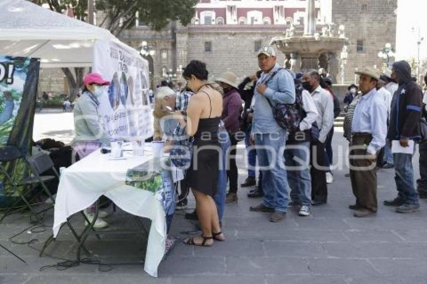 ZÓCALO . PLANTÓN