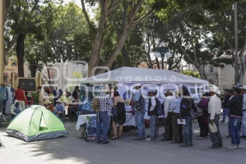 ZÓCALO . PLANTÓN