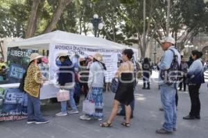 ZÓCALO . PLANTÓN