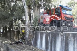 TLAXCALA . INCENDIO ÁRBOL