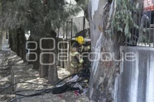 TLAXCALA . INCENDIO ÁRBOL