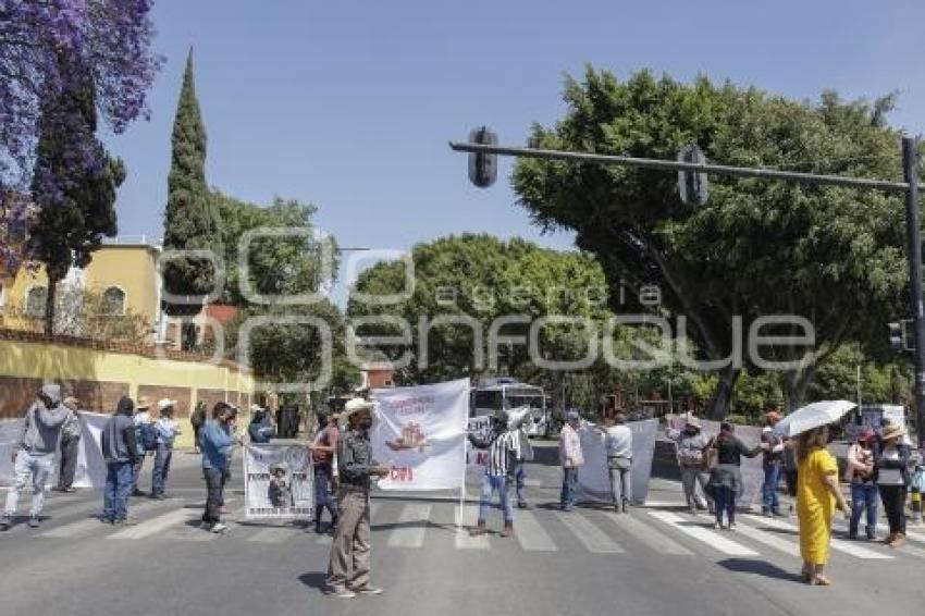 MANIFESTACIÓN . BULEVAR 5 DE MAYO