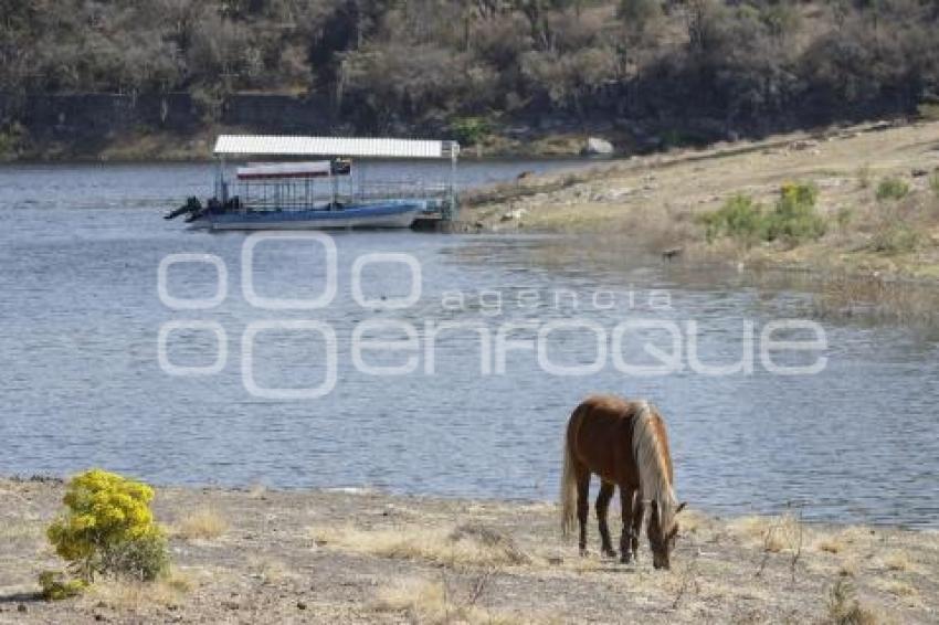 PRESA VALSEQUILLO