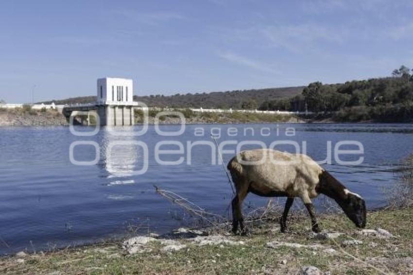 PRESA VALSEQUILLO