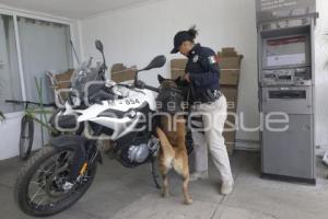 DÍA DE LA MUJER . POLICÍA K9