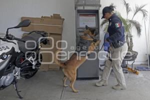 DÍA DE LA MUJER . POLICÍA K9