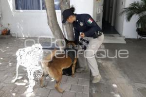 DÍA DE LA MUJER . POLICÍA K9