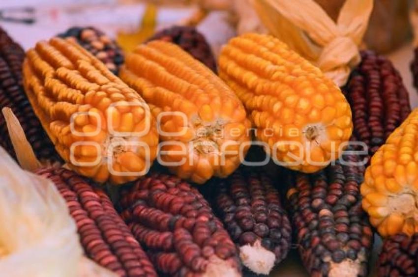 TLAXCALA . FERIA DEL MAÍZ