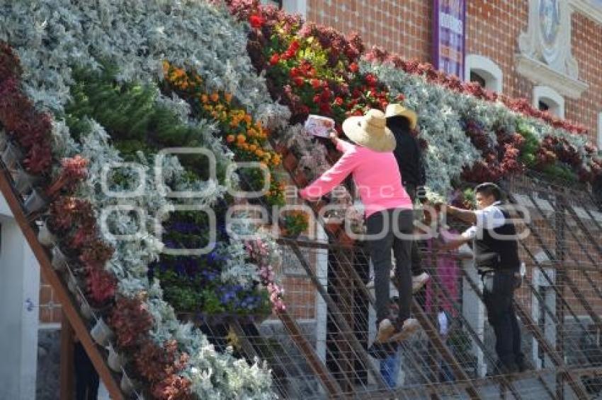 ATLIXCO . TAPETE MONUMENTAL