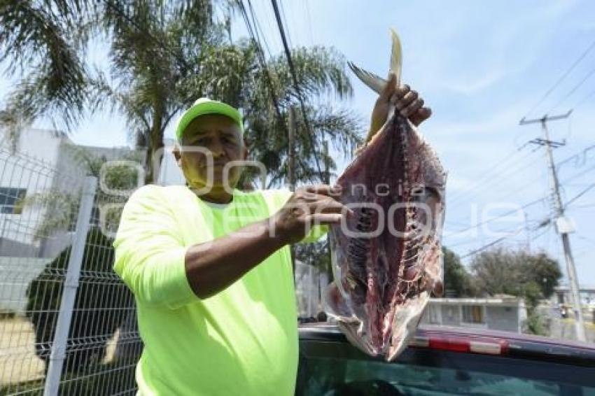 TLAXCALA . VENTA DE PESCADO