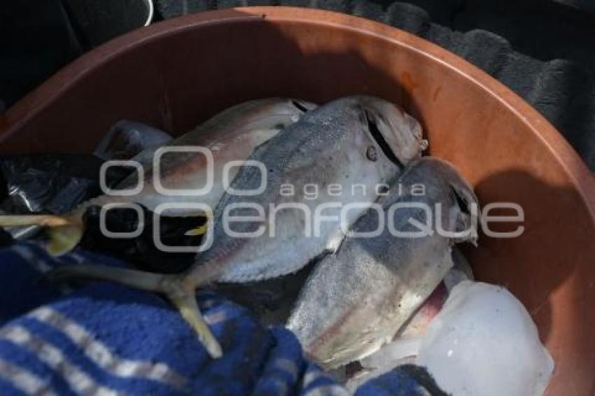 TLAXCALA . VENTA DE PESCADO