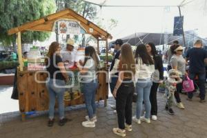 TLAXCALA . XII FESTIVAL DEL PULQUE